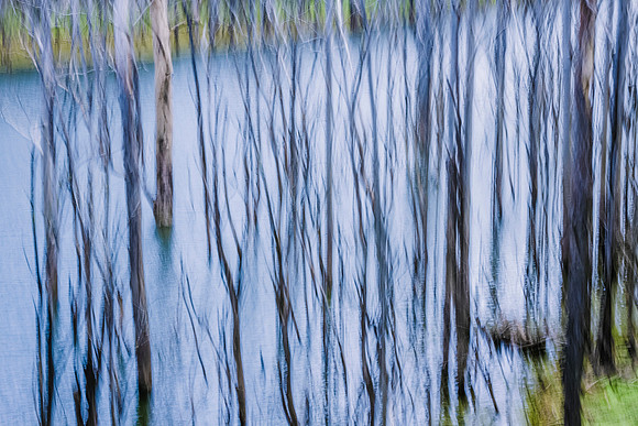 Splintered River