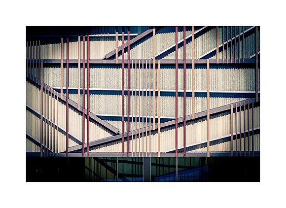 Vertical Vision