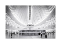 In Occulus