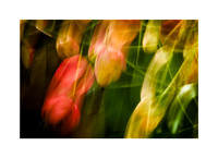 ICM Botanicals