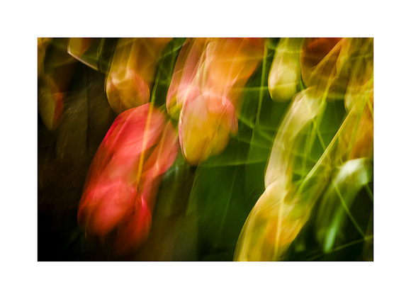 Dance in the Sun