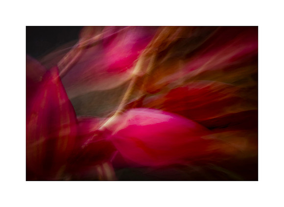 Passion Colours Everything
