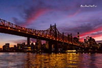 Sunset at Queens Bridge. |OFa1383|
