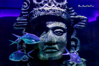 Luminous fish. |OFa1387|