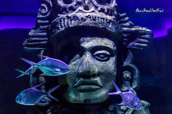 Luminous fish. |OFa1387|