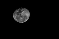 The Moon