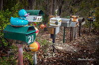A typical country scene...  |OFa1459|