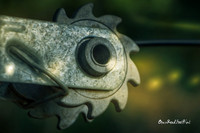 Fence line |OFa1462|