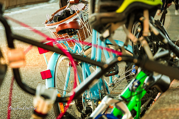 Bike pair |OFa1189|