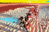 Digital dogs. |OFa1478|
