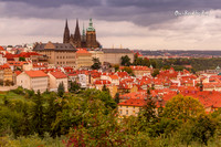 Red roof - Prague |OFa1099|