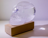 Skull Duggery