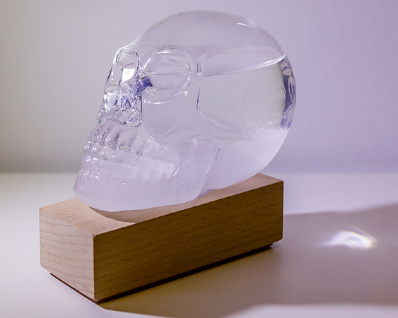 Skull Duggery