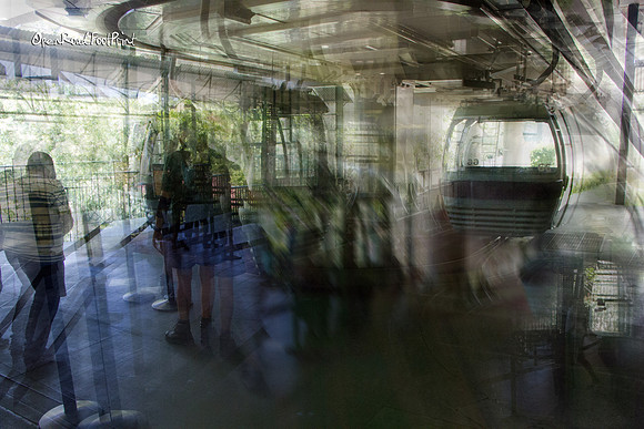Kuranda Skyrail jacaranda |OFa1520|