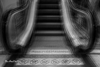 Going up? |OFa1542|