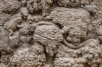 Frog and snake, Dripstone Wall. Prague, Czechia |OFa1475|