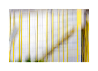 Yellow Verticals