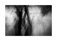 Lost in the Woods