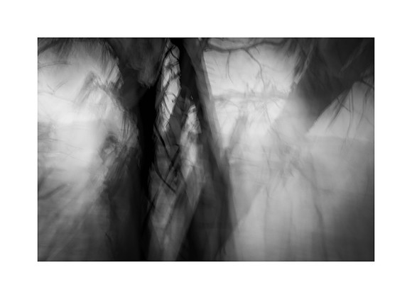Lost in the Woods