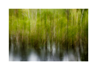 The Water Dance