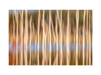 River Runs Through