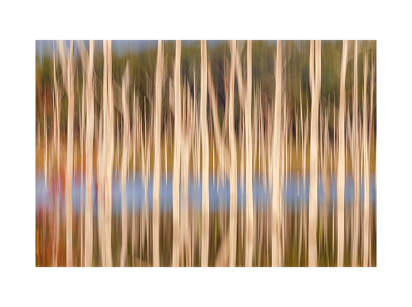 River Runs Through
