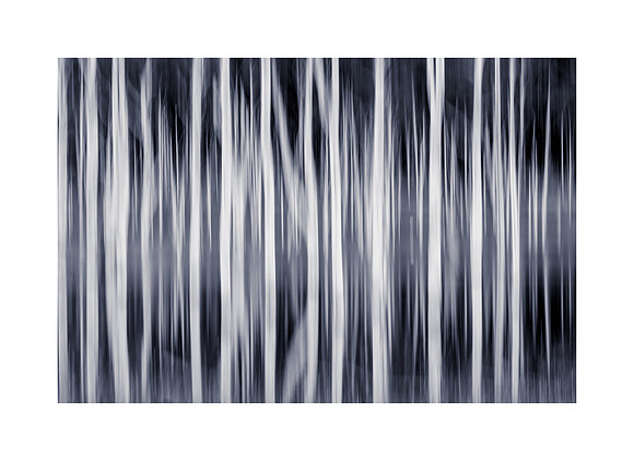 Trunken Stripes