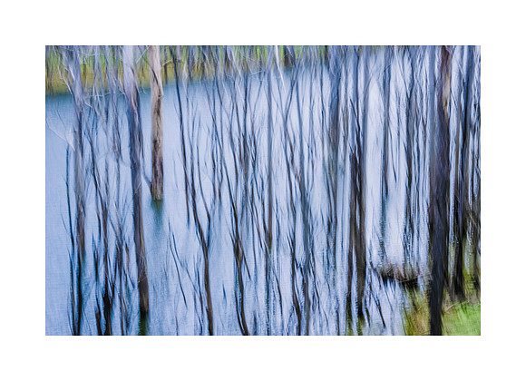 Splintered River