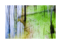 Woodland Secrets