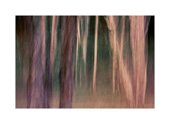 Woodland Blur