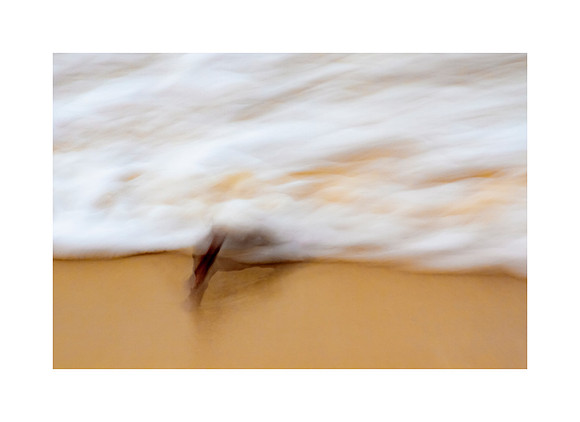 Flow Disrupted