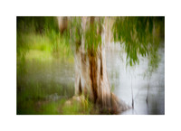 Abstracted Grace #01