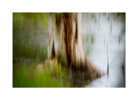 Abstracted Grace #02