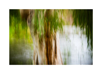 Abstracted Grace #04