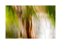 Abstracted Grace #03