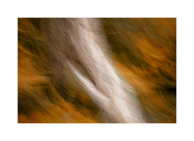 Autumnal Reverie