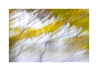 Fading Foliage Fiesta #02