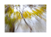 Fading Foliage Fiesta #03