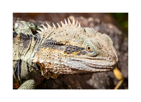 Are You Looking At Me