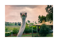 Are You Talking To Me?