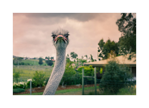 Are You Talking To Me?