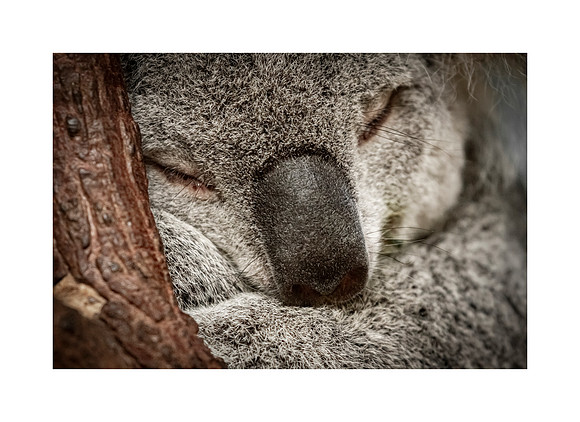 Sleep Time
