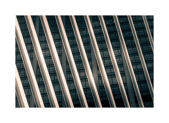Veil of Lines