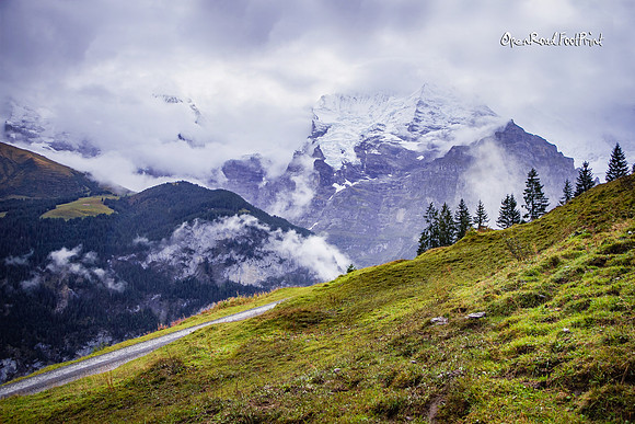 Walk the hills! |OFa1197|