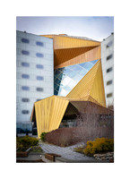Golden Roof
