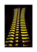 Zebra Crossing