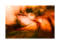 Daybreak Dreams