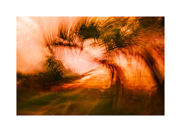 Daybreak Dreams