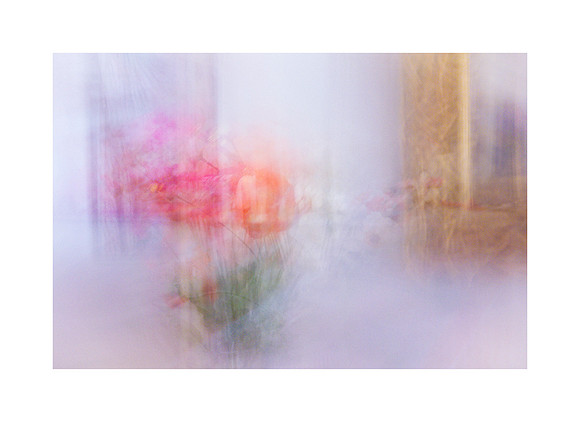 Flower and Frame