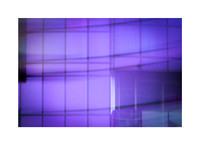 Purple Panes